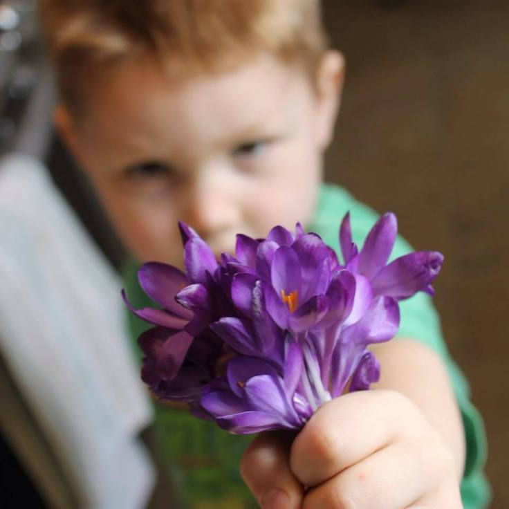 17799094_10154268622597657_2064081487240436000_n